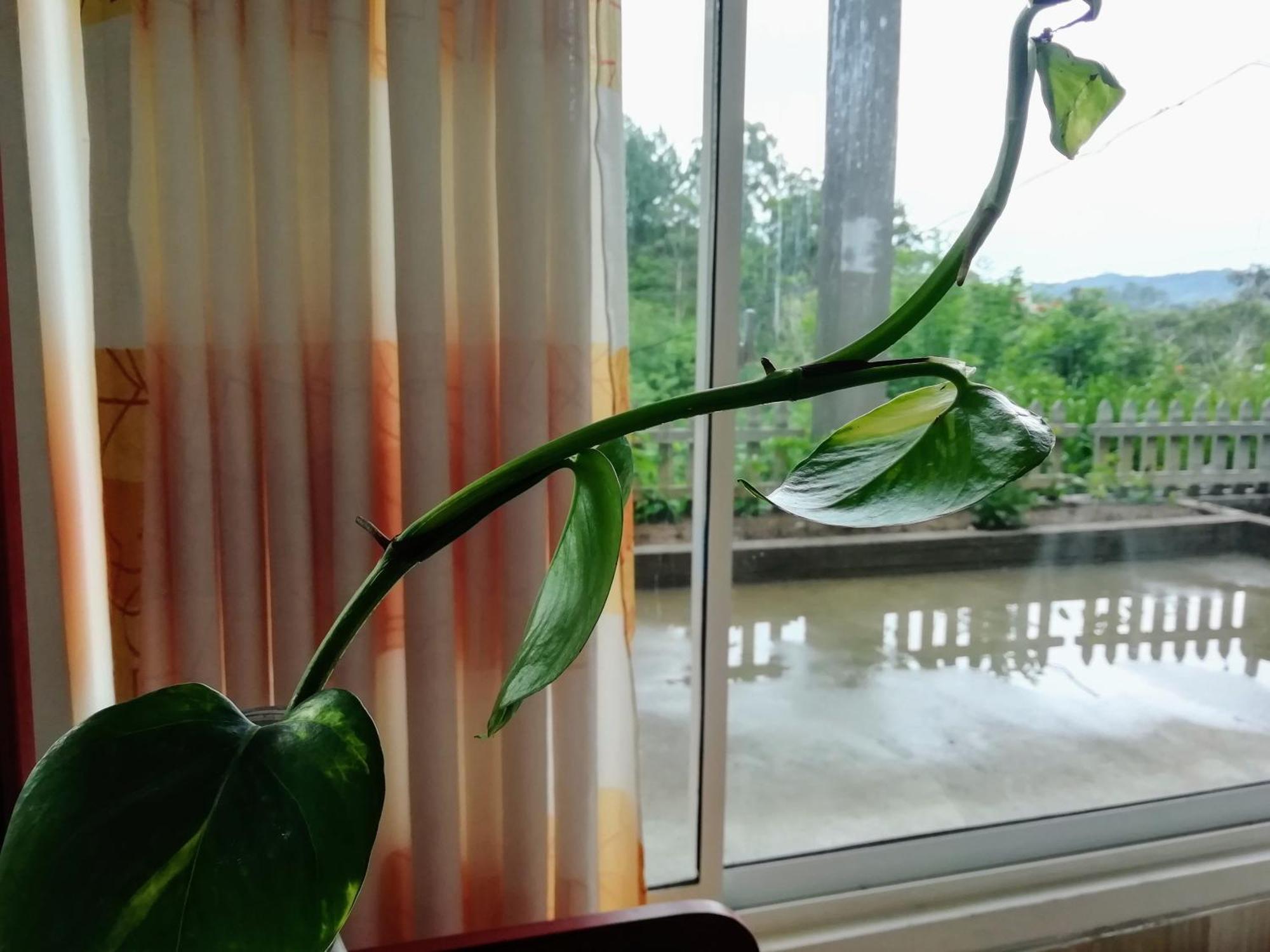 Отель Ella C&D Paradise Экстерьер фото